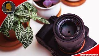 Photography: How to Start a Photography Business and The 10 Things you need to know to succeed.