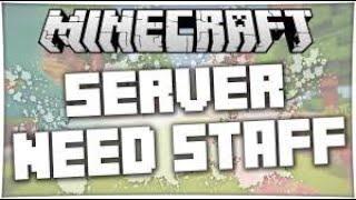 NEW MINECRAFT SERVER NEEDS STAFF!