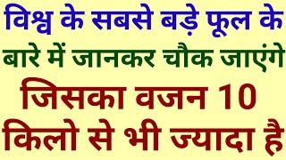 Top 10 GK in Hindi most important Questions amazing question Part 14