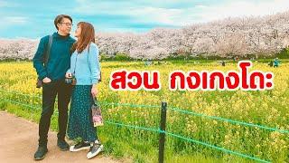 เที่ยวญี่ปุ่น 