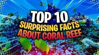 Top 10 Surprising facts about Coral Reef