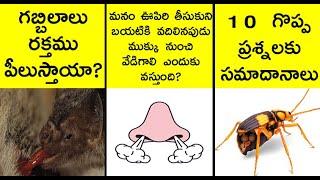 10 most interesting questions and answers | interesting facts in telugu |  askRT episode 9 | facts