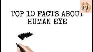आंख का वजन क्या है?||TOP 10 FACTS ABOUT EYES