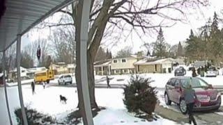 Video captures school bus hit 5-year-old girl in Shelby Township