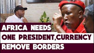 Malema wants a borderless Africa with one President, one currency & one language