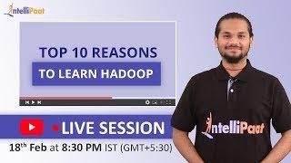 Top 10 Reasons To Learn Hadoop | Hadoop Tutorial | Hadoop Certification |intellipaat