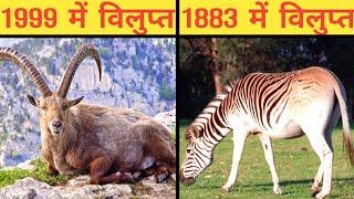 दुनिया की 10 विलुप्त प्रजातिया | Top Extinct animal and bird species information in hindi