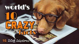 Top 10 intresting facts in the world | crazy facts | Amazing facts | telugu