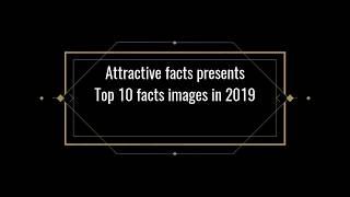 Top 10 facts 2019||Attractive facts||#Facts#Trendingnow