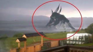 10 Giant Creatures Caught on Camera