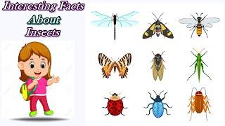 Top 10 Interesting Insects || Interesting Facts About Insects || Insects for Kids || Bugs for Kids