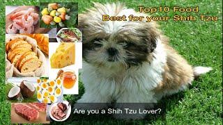 Top 10 Food | Best for your Shih Tzu Dogs | TLT Tips