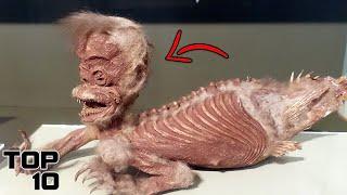 Top 10 Mysterious Fossils That Shocked The World