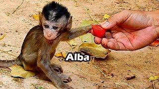 Don't Worry Alba Your Mum Anna Busy Eat She Can't Still Your Food | Big Thank For Strawberry To Alba