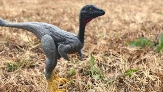 Top 10 Jurassic World Toys of the decade.