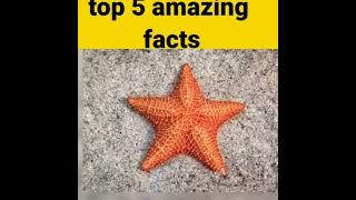 दुनिया का सबसे बड़ा सोने का टुकड़ा | Top 10 Facts | #shorts #facts #TrendingShorts | Mr. Shani Facts