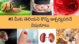 Top 10 Interesting Facts in Telugu  Part 3  Amazing and Unknown Facts in Magical Facts Telugu