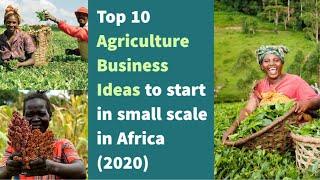 Top 10 Agriculture Business Ideas to start in small scale in Africa (2020), Best Business ideas