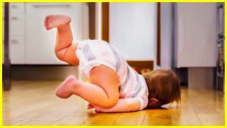 Top Collection Babies Playing Fails - Funny Baby Videos