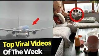 Top 10 Viral Videos Of The Month - January 2020