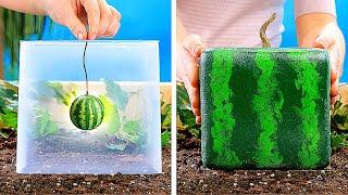 21 AMAZING PLANTS IDEAS || DIY Gardening Tricks You Should Know