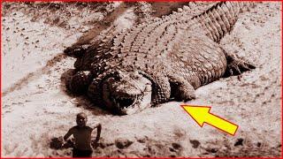 Top 10 Biggest Crocodiles in the world 2020 | खतरनाक मगरमच्छ