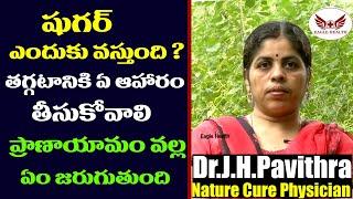 షుగర్ ఎందుకు వస్తుంది? తగ్గటానికి ఏ ఆహారం తీసుకోవాలి || Diabetes Symptoms || Diabetes Causes