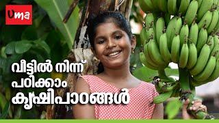 Umakkutty at Neighborhood Organic Vegetable Farm |മാത്യുഅങ്കിളിന്റെ പച്ചക്കറിത്തോട്ടത്തിൽ ഉമക്കുട്ടി