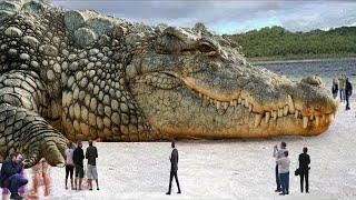 TOP 10 BIGGEST ANIMALS IN THE WORLD