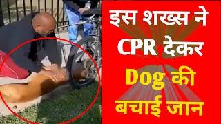 डोगी बेहोश होकर गिरा तो शख्स ने दी मुंह से सांस | Man gives CPR to dog #humanity #CPR #Pets