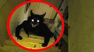 10 SCARIEST Creatures CAPTURED on CAMERA