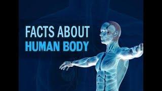 Body fact || top 10 fact about body || shivaay