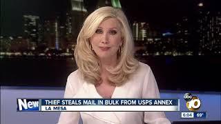 10News at 6pm Top Stories