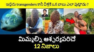 Top 12 Interesting Facts in Telugu | Episode 65| Unknown and Amazing Facts | Minute Stuff