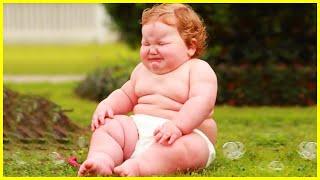 Cutest Chubby Baby For You - Funny Baby Videos