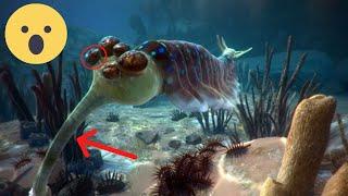 TOP 20 Strangest Animals On Earth That You Probably Don’t Know Existing