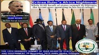 Eritrea Ruler agonizes in his local cocoon while IGAD Leaders summit in Ethiopia