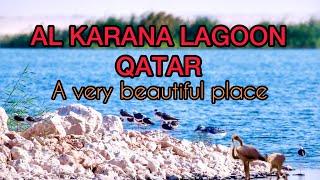 Al karana lagoon qatar || Al karana island for birds || best place in qatar