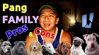 Top 10 Dog Breeds For Family 