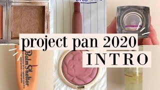 PROJECT PAN 2020 introduction | challenging myself this year!