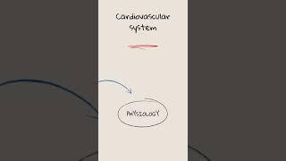 Top 10 important questions in cardiovascular system |Physiology |Mlt Healthy vlogs