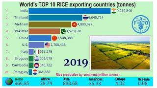 World largest rice exporting countries |TOP 10 Channel