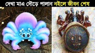 কোথাও এগুলো দেখলে দৌড়ে পালান এবং সাহায্যের জন্য চিৎকার করুন !! If You See This, Run Away And Call