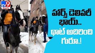 Amazon Delivery man arrives on Horseback in Snow Covered Srinagar - TV9