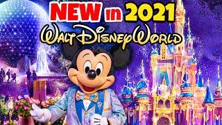 Top 10 New Disney World Rides, Changes & Updates 2021 - Epcot, Animal Kingdom, Magic Kingdom 2021