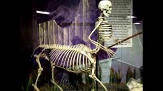 Top 10 Skeletons/sightings/depictions of Horse man/Centaur a type of Neanderthal that went extinct