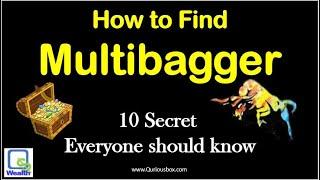 How To Find Multibagger Stock | Multibagger stocks | QuriousWealth