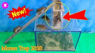 Top 10 most plastic box traps | Innovative plastic box traps ideas in 2020 | mouse trap 2019