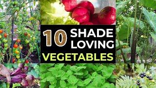 Top 10 Shade Loving Vegetables - The Best Veggies To Grow In Shade