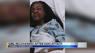 10-year-old girl recovering after being attacked by dog in Pickensville